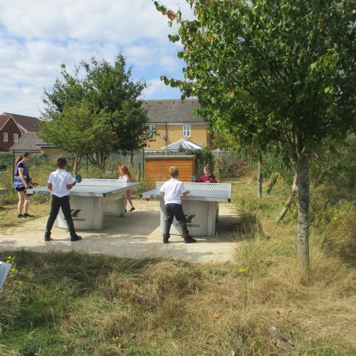 Table Tennis