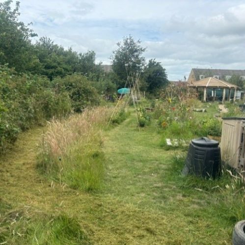 Forest School Development