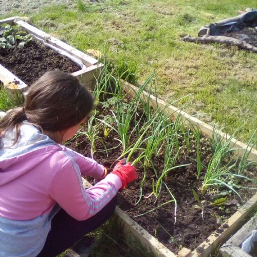 What is Forest School?